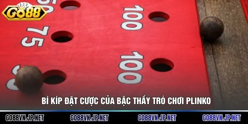 Bí kíp đặt cược của bậc thầy trò chơi Plinko