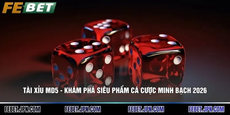 Tài Xỉu MD5 - Khám Phá Siêu Phẩm Cá Cược Minh Bạch 2026